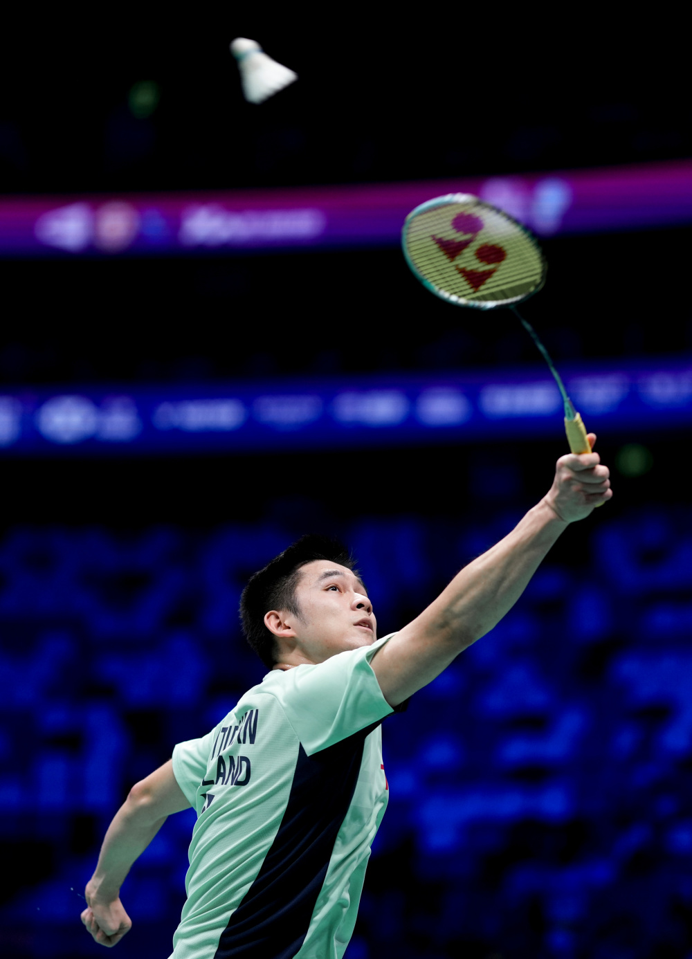 进行了分析 进行了分析